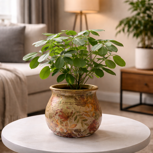 Autumn Bloom Decorative Plant Pot